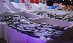 Sakarya'da tezgahların bir numarası yine hamsi oldu