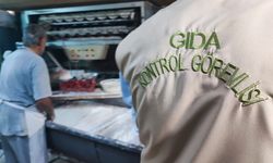 Adana'da gıda denetimlerinde 3 milyon 200 bin lira ceza kesildi