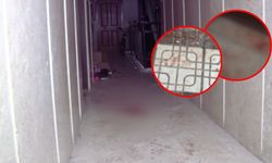 Ankara’da dehşet veren olay! Cezaevinden izinli çıkıp ailesini katletti