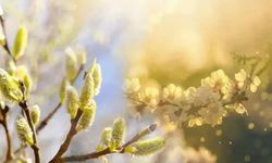 Son cemre düştü mü? Baharın müjdecisi 3. cemre ne zaman düşecek? İşte 2026 cemre düşme tarihleri!