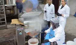 Bilecik'te kadınların ürettiği ayva lokumu ihracata dönüştü