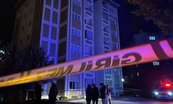 Böcek ilaçlaması yine zehirledi: 11 kişi hastanelik oldu