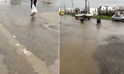 Bodrum'a balık yağdı! Şiddetli sağanak sonrası göl taştı
