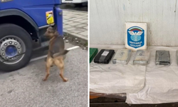 Çiçek tırında 1.4 milyon euroluk uyuşturucu!