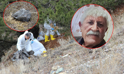 Çorum'da kan donduran olay! Ali Osman Kaya 6 gündür kayıptı, cesedi parçalanmış halde bulundu