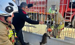 Demir kapıya sıkışan yaramaz kedinin imdadına itfaiye yetişti!