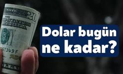 Dolar yatay seyirde: Bugün Euro ne kadar, dolar kaç TL? 10 Şubat 2026 döviz kurları