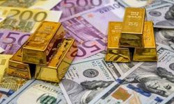 Döviz varlıkları gerilerken altın rezervlerinde sınırlı artış