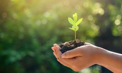 Erzurum'da 'Uzlaştırma Ormanı' oluşturulacak