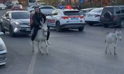 Ehliyeti kaptırdı, siparişe eşekle çıktı!