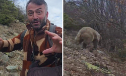 Nefes kesen karşılaşma: Ayıyla burun buruna geldi!
