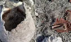 Eyüpsultan’da valizli cinayet şüphelisi yakalandı