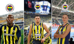 Fenerbahçe durdurulamıyor: 3 branşta 22 zafer