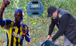 N’Golo Kante sevgisi domates kasalarında