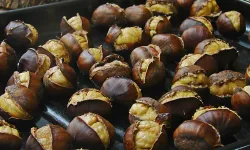 İstanbul'da Ocak ayının zam şampiyonu kestane