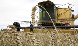 Çiftçilere 129,3 milyon liralık tarımsal destekleme ödemesi bugün yapılıyor