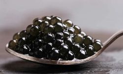 Havalimanında kaçak havyar operasyonu! Tam 13 kilo!