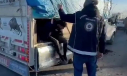 Hayvan dışkısıyla kamufle ettiler: Gizli bölmeden 19 kaçak çıktı!