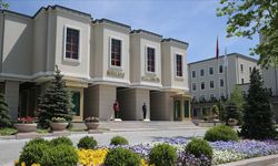 İçişleri Bakanlığı’ndan sokak hayvanları soruşturması: Köyceğiz, Narman ve Hilvan’a inceleme