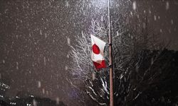 Japonya kar yağışı ve soğuk havaya yenildi: 35 ölü
