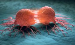 Dünyada her sene 20 milyon kişiye kanser tanısı konuyor