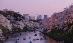 Turist krizi, popüler festivali iptal ettirdi