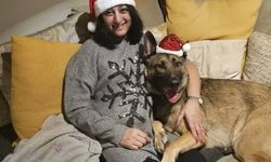 Küçük bir çizi, büyük felaket: Köpek yaladı, 4 uzvunu kaybetti!