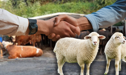 Kurban Bayramı ne zaman, hangi ayda? Kurban Bayramı tatili 9 gün olacak mı? İşte Diyanet takvimi ve tatil planı...