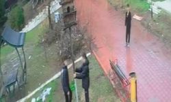 Adana'da kuş yuvasını parçalayan çocuklara ev hapsi