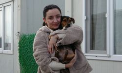 Malatya'da konteyner kentin maskotu: Boncuk