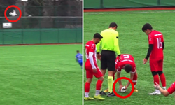Futbol sahalarında örnek davranış: Top çarpan martıya futbolculardan anında müdahale