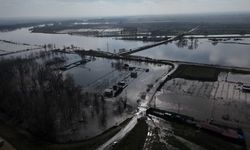 Meriç Nehri taştı: Edirne'de tarım arazileri ve çiftlikler sular altında kaldı