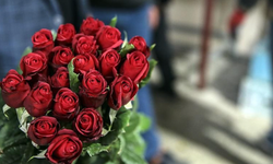 Sevgililer Günü'ne özel çarpıcı anket