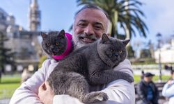 "Seyyah kedi" İstanbul'u artık kızıyla geziyor