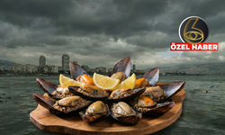 Sokak lezzetinde gizli tehlike: Midyede ağır metal ve virüs izi