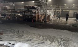 Balıkesir'de korkutan yangın! Kısa sürede söndürüldü