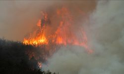 Güney Kore 2 gündür yangınla savaşıyor