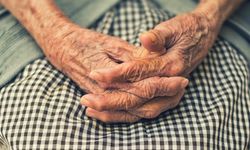 Türkiye'nin 100'ler kulübü: Nüfusları 243 bini aştı