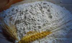 Türkiye’nin Suriye’ye un ihracatı 650 bin tona ulaştı