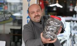 Yazın yeni gözdesi olacak! Karadenizliler yapıyor, 1500 liraya alıcı buluyor