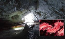 Romanya’da korkutan keşif: 5 bin yıllık buzun içinden süper bakteri çıktı