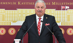 Yeniden Refah Partili Bekin, TBMM'de yaşanan arbedeyi eleştirdi