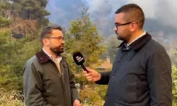 Ensonhaber Genel Yayın Yönetmeni İlyas Efe Ünal, İsrail'de gözaltına alındı