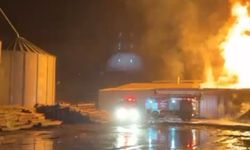 Sakarya'da yangın faciası: Entegre tesiste yağ kazanı bomba gibi patladı!