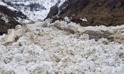 Van'da çığ düştü:  1 mahalle ve 8 mezraya ulaşım sağlanamıyor