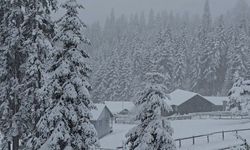 Düzce'de kartpostallık kareler! Lapa lapa kar yağdı
