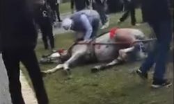 Atını sopa ve tekmeyle bayılttı