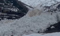 Yüksekova’da köye çığ düştü: Faciadan dönüldü