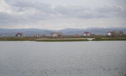 Muş Ovası’nda kar erimesi ve sağanak tarım arazilerini sular altında bıraktı