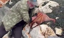 3 kiloluk ahtapotu eliyle yakaladı